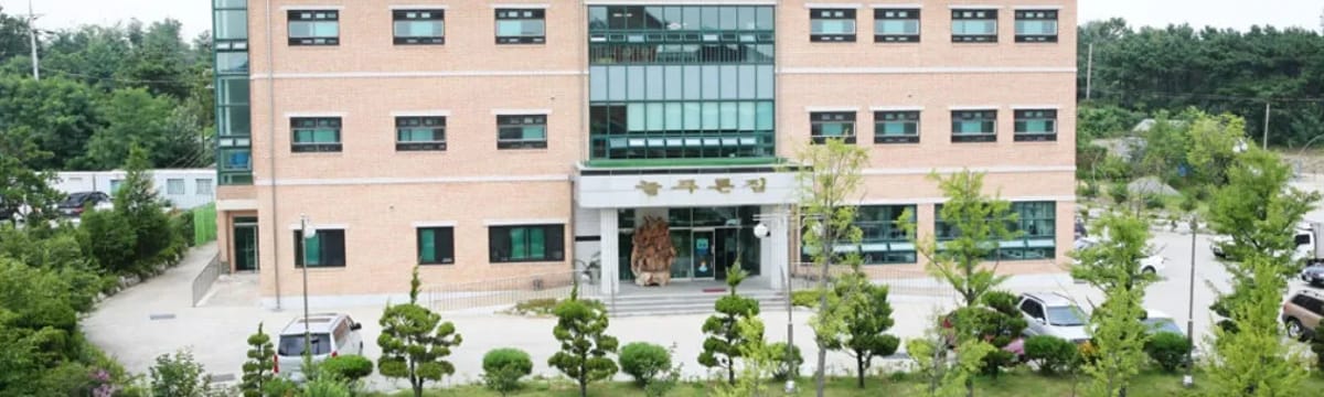 요양 서비스 in 서구, 광주광역시