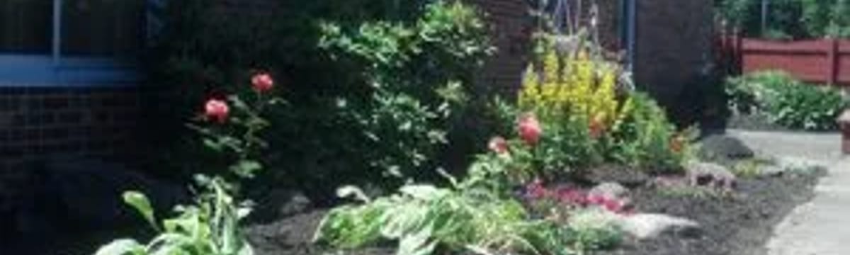 Senior Care in Springville, NY