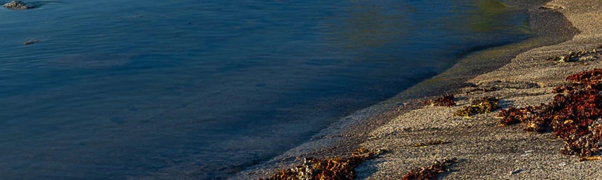 Äldreomsorg in Öckerö, Västra Götalands län