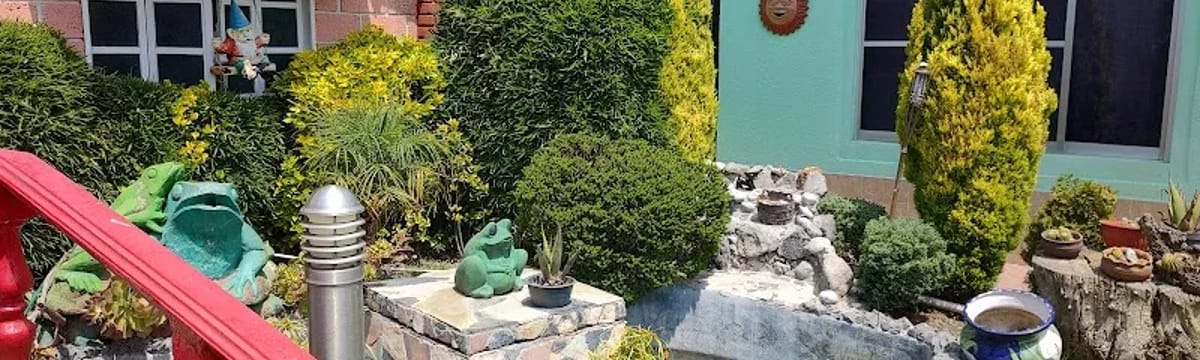 Cuidado de Mayores in Metepec, Estado de México