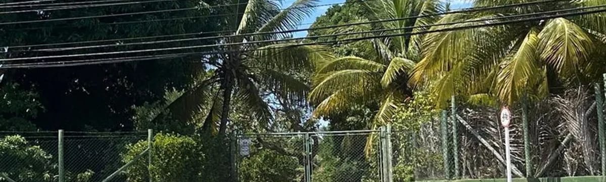 Cuidados para Idosos in Camaçari, BA