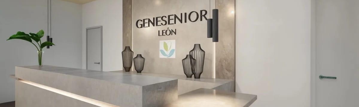 Cuidado de Mayores in Leon, Castilla y León
