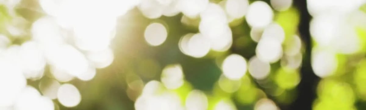 Senior Care in Fountain Valley, CA