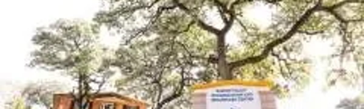 Senior Care in Dripping Springs, TX