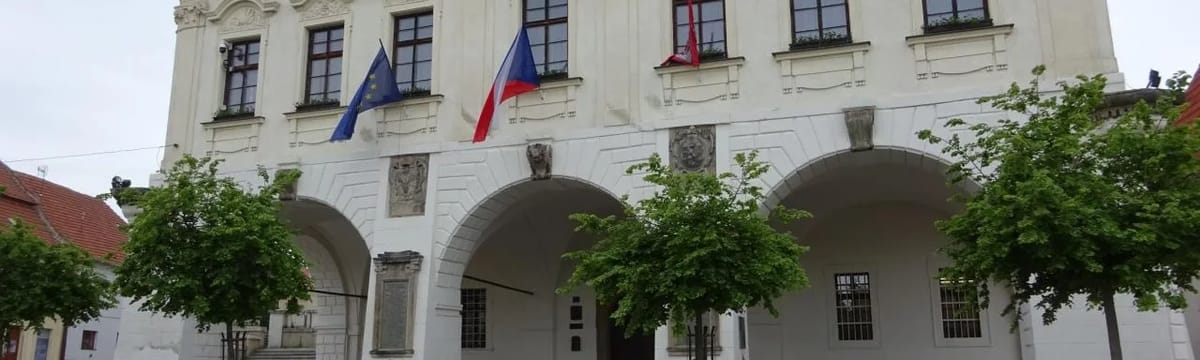 Péče o Seniory in Velvary, 27