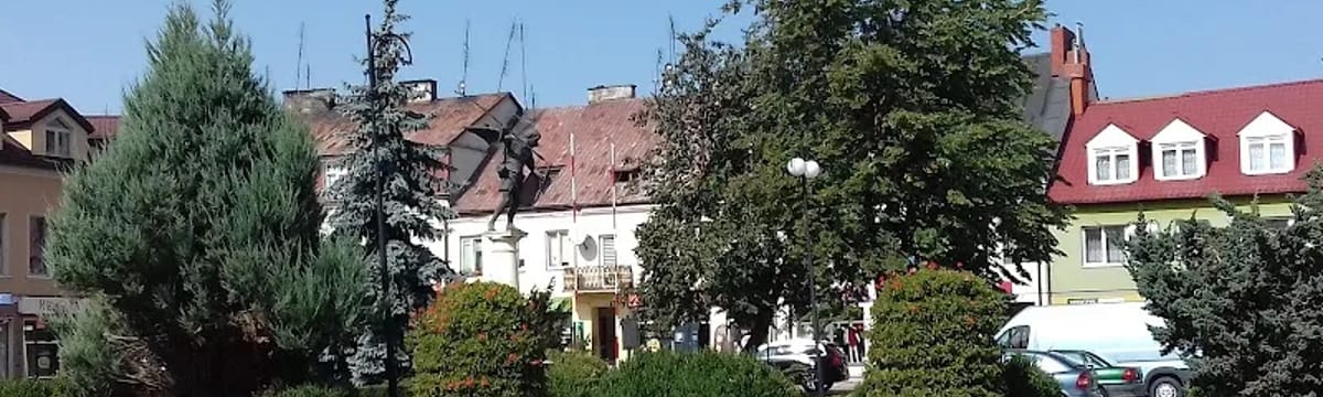 Opieka dla seniorów in Płońsk, Płońsk