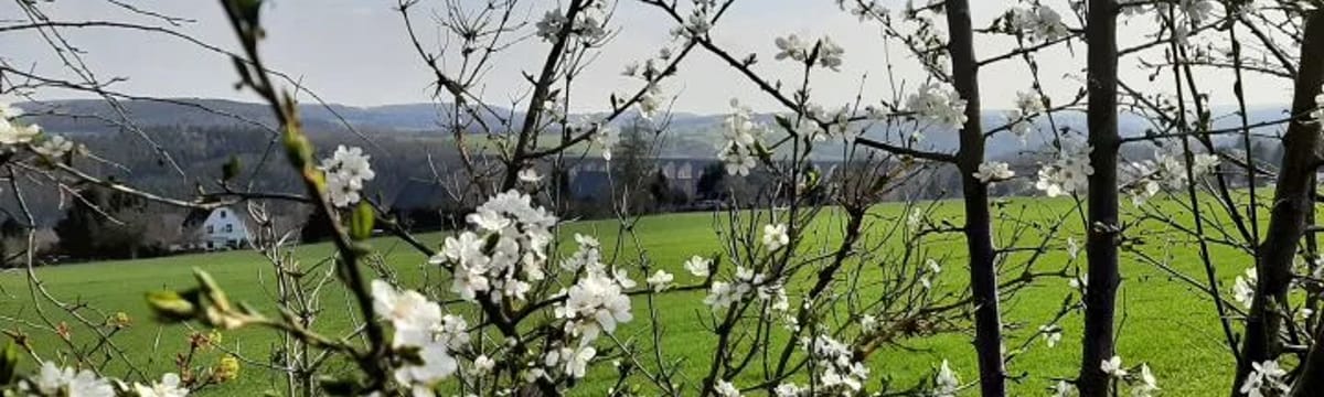 Seniorenpflege in Netzschkau, Sachsen