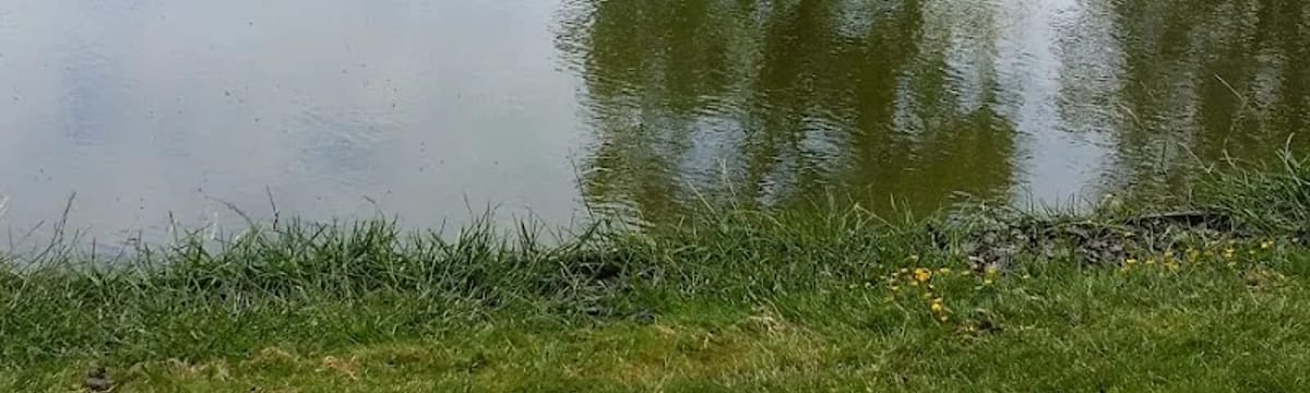 Thuiszorg in Dwingeloo, Overijssel