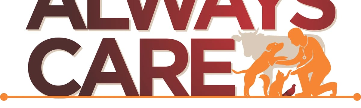 Senior Care in Orland, CA