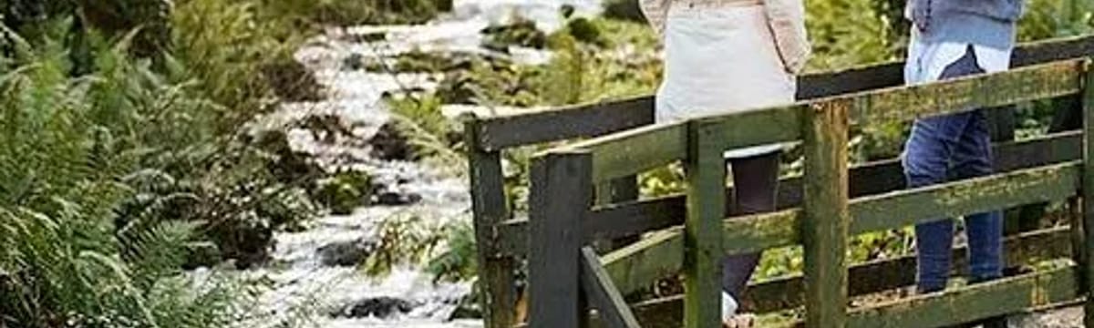Care Services in Borrisokane, Tipperary