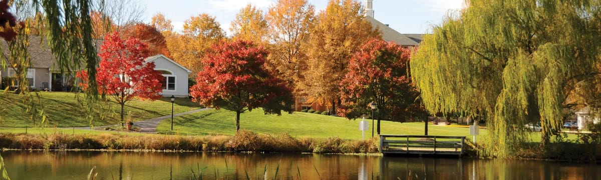 Senior Care in Lake Ridge, VA