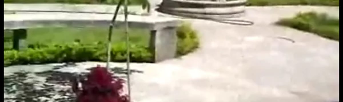 Cuidado de Mayores in San Pedro Tlaquepaque, Jalisco