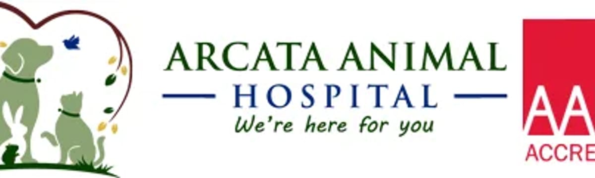 Senior Care in Arcata, CA