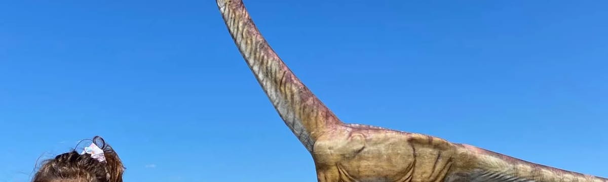 Cuidado de Mayores in Trelew, Chubut