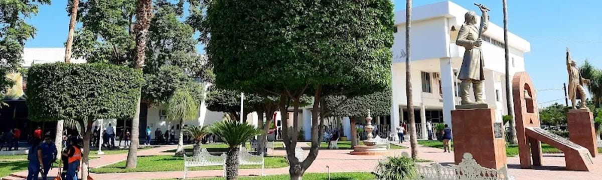Cuidado de Mayores in Salvador Alvarado, Sinaloa