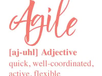 Agile Home Care LLC