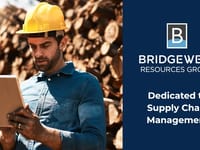 Bridgewell LLC