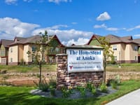 Anoka Professional Home Care INC