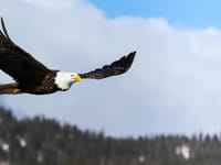 Eagles Nest Retirement Ranch