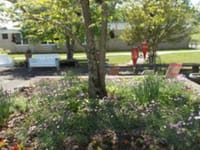 Clay County Nursing Home