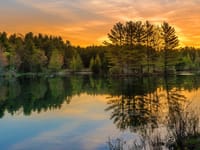 Americare Lodges Inc
