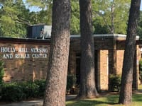 Holly Hill House