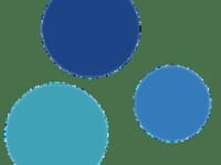 Diversity Care Providers Inc