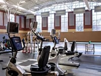 Cornerstone Rehabilitation And Wellness