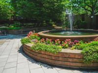 Cassena Kidney Care at Sea Crest