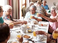 Bridgeview Adult Day Center Llc