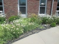 Pioneer Manor Nursing Home