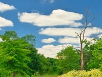 Anthology Of Clayton View