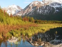 Alaska First Assists, LLC