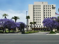 American Veterans Home Health Care