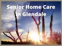 Aaa Home Care, INC., A California Corporation
