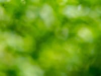 Allen County Job and Family Services