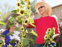 Beatitudes Assisted Living Services