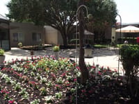 Brookhaven Nursing and Rehabilitation Center