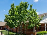 Broken Arrow Nursing Home, Inc