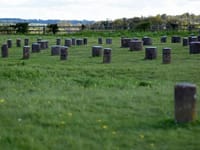 Affinity - Woodhenge