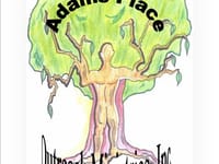 Adams Place LLC