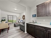 Pacific Point Hcs Inc