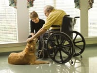 Birchview Gardens Assisted Lvg