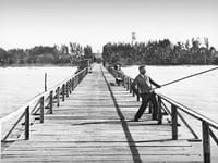 Angels For The Golden Years Of Naples Inc