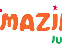 Amazing Group LLC