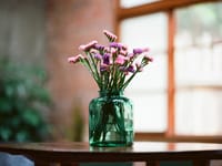 Besa Companions And Homemakers LLC