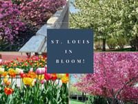 All N Bloom LLC