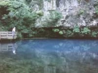 FMC - Blue Springs