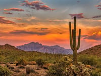 Emblem Hospice Tucson