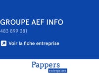 Aef Holdings, INC